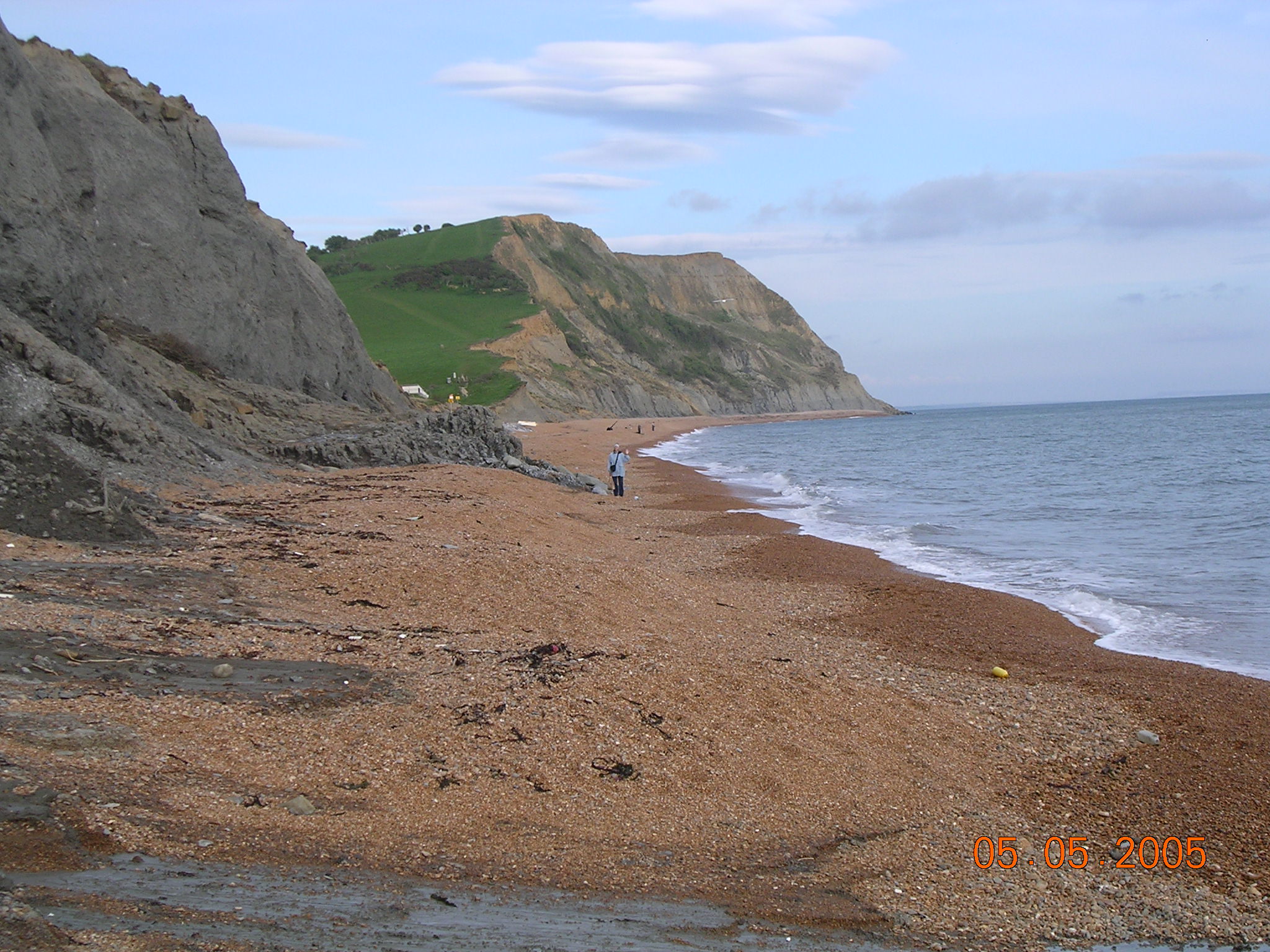 Seatown Blue Lias clay with fossils